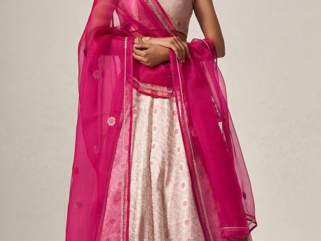 Santoshi  Light Pink Pure Katan Silk Brocade Handloom Lehenga Set Hot on Sale