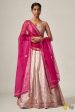 Santoshi  Light Pink Pure Katan Silk Brocade Handloom Lehenga Set Hot on Sale