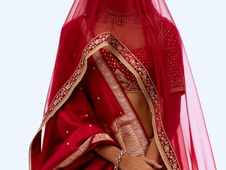 Anandvan  Red Pure Satin Silk Banarasi Handloom Lehenga Set Hot on Sale