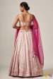 Santoshi  Light Pink Pure Katan Silk Brocade Handloom Lehenga Set Hot on Sale