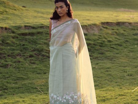 A Sweep of Irises  Sage Green Pure Kora Silk Net Banarasi Handloom Saree For Sale