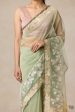 A Sweep of Irises  Sage Green Pure Kora Silk Net Banarasi Handloom Saree For Sale