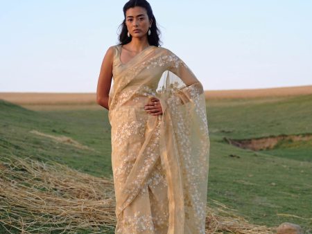 A Flourish of Primroses  Beige Pure Kora Silk Net Banarasi Handloom Saree For Sale